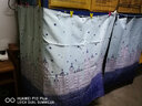 西漢（XIHAN）学生宿舍强遮光床帘0.9米床【上下铺通用 可购买全框支架】 【花篮兔】2片帘子 2米长*1.2米高 实拍图