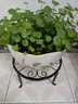 四坊八巷 花架 欧式铁艺小花架 客厅阳台单层花盆架现代简约落地式盆景架绿萝多肉小花架盆架 黑色【一件不发，两件起拍】 实拍图