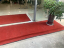悦渔可定制裁剪地毯酒店大堂进门迎宾垫走廊楼梯过道防滑垫子电梯公司门口垫办公楼消毒地毯绒布胶底商用地毯 暗红色 定制尺寸请联系客服（单拍不发货） 实拍图