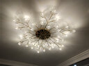 灯强 北欧风格灯具LED主卧室灯轻奢客厅大灯温馨浪漫花朵水晶吸顶灯 金色-36头-直径100cm三色变光 实拍图