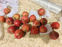 涑淇源鲜山楂山楂果大金星大五棱山楂鲜摘现发新鲜山楂 泡膜箱包装3斤山楂 实拍图
