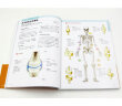 全新3D人体解剖图 人体肌肉解剖运动解剖学断层局部图谱解剖书教材卫生解剖生理学专业基础医学书解剖图谱 实拍图