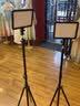 神牛（Godox） P120C-P260C LED补光灯平板摄影灯直播网红主播灯可调色温摄像灯柔光灯美食婚庆打光摄像补光灯 【11】P120C补光灯+6000电池套装【两灯】 实拍图