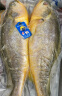 三都港 冷冻三去大黄鱼700g/2条装 黄花鱼 深海鱼 生鲜 鱼类 海鲜水产 实拍图