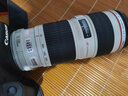 佳能 Canon 70-200 f2.8L f4 IS II二手镜头二代小白兔大白单反长焦人像远射 佳能EF 70-200 F4L USM 小小白 99新 实拍图