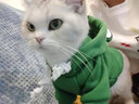 狗狗衣服小中型犬泰迪博美猫咪秋冬新款宠物服饰抓绒卫衣卡通比熊 青蛙卫衣(抽绳款) S(适合3-5斤) 实拍图