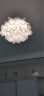 灯强 北欧餐厅吊灯蒲公英水晶led艺术创意会议室店铺长条服装店灯具 金色直径90cm12头-透明水晶-三色 晒单实拍图