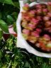 彩色浆果带盆栽好多肉植物稀有品种小贵货罕见粉色 简易盆+11厘米宽幅 带盆栽好 晒单实拍图