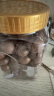 百草味 罐装夏威夷果500g 奶油味每日坚果仁干果类零食小吃特产送礼 实拍图
