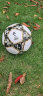 匹克足球5号成人儿童中考标准世界杯专业比赛训练青少年小学生金 晒单实拍图