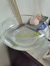 唯友水仙花盆碗莲盆缸玻璃睡莲盆花盆玻铜钱草水培花卉玻璃瓶透明鱼缸 大号口20肚径25高10 默认1 实拍图