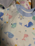 丽婴房（Les enphants）【5A抗菌】婴儿连体衣男女宝宝睡衣舒绒棉内衣斜襟春秋款连身衣 浅蓝色 90cm/2岁 实拍图