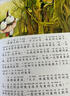 伊索寓言 彩绘儿童注音版 世界儿童共享的经典丛书 正版7-10岁世界名著图书籍故事拼音读物小学生一二三四五六年级童话小说暑假课外阅读书籍(中国环境标志产品 绿色印刷) 实拍图