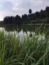 渤洋鱼饵小药诱鱼粉鱼饵添加剂野钓黑坑竞技钓鱼饵料添加剂通杀信息素 爆护升级版【3瓶装】 实拍图