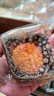 元朗荣华月饼礼盒流心奶黄360g8枚荣华月饼中秋礼品广式月饼团购 实拍图