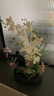 蝴蝶兰仿真花盆栽假花插花套装客厅餐桌酒店桌面花艺装饰花艺摆件 黑瓷+白色花 实拍图