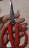 保联剪刀家用经典红色厨房剪办公文具剪纸小剪刀不锈钢手工线剪子多个 【中号】16.5cm 实拍图