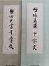 启功真草千字文 实拍图