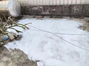 绿蔓（Lm）隔热棉保温棉自粘防晒耐高温阳光房隔热材料屋顶楼顶保温板隔热板 黑【通用款】10mm方格铝自粘1㎡ 实拍图