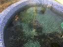 森森（SUNSUN）鱼池过滤器鱼缸过滤桶水池循环设备池塘过滤系统子公司格池 CPF适合30立方水过滤套餐【带水泵全套】 实拍图