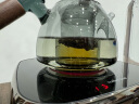 忆壶茶（YIHUTEA）茶壶玻璃煮茶壶加厚泡茶壶家用水壶耐高温带过滤水壶煮茶器茶具 【新款黑色】巧沐壶 700ml 实拍图