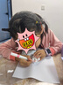 TOI儿童石膏娃娃涂色小熊手工diy白胚立体涂鸦模具男女孩生日礼物 石膏造物-熊熊艺术家 实拍图