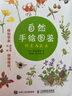 自然手绘图鉴 野花与昆虫 实拍图
