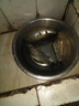 AFW仿生串钩钓组飞蝇线组套装翘嘴仿真路亚亮片鱼皮马口白条鲈鱼海钓 7#红串钩*3付+浮水助投器9g*3枚 实拍图
