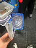 格威特电动抽油泵12V24V直流220V交流加油泵工业柴油输油泵加油机 6米钢丝油管 实拍图