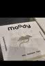 moody美瞳日抛彩色隐形眼镜少女白日梦系列10片装 魔镜物语 200度 实拍图