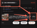 王者王朝欧式真皮沙发组合别墅客厅大户型实木雕花头层牛皮高档美式皮沙发 单人位 实拍图