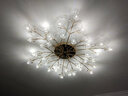 灯强 北欧风格灯具LED主卧室灯轻奢客厅大灯温馨浪漫花朵水晶吸顶灯 金色-36头-直径100cm三色变光 实拍图