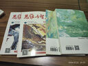 【全年珍藏】思维与智慧合订本杂志2023/2021/2020/2016/2017/2019年春夏秋冬季卷4本打包青年读者意林校园少年版文学文摘期刊杂志 2023年全年珍藏【赠送3本7本】 晒单实拍图
