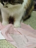 爱慕（Aimer）内裤女士中腰三角内裤女经典KiKi裤轻薄光面内衣马卡龙多色内裤 浅粉色 1条 S (160) 实拍图