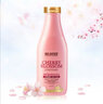 博柔樱花控油洗发露蓬松无硅油油头克星 樱花护发素730ml 实拍图