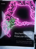 预售 Biochemistry and Molecular Biology 英文原版 生物化学与分子生物学 实拍图