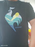 乐卡克（Le coq sportif）法国公鸡24夏季T恤男休闲情侣印花白色纯棉圆领短袖 黑色 XL 晒单实拍图