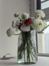 极度空间 玻璃花瓶插花瓶水培植物生态瓶透明桌面客厅办公桌家居装饰摆件 实拍图