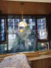 三洛（SANLUO）美式轻奢餐厅灯吊灯北欧简约全铜饭厅吧台餐桌灯主卧室倒台吊灯具 3+1头直径40cm+LED三色灯泡（T） 晒单实拍图
