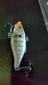 乐伯乐（RAPALA） RAPALA芬兰乐伯乐RNR震荡波全泳层VIB路亚拟饵硬饵颤沉翘嘴鲈鱼 BG RNR05/5厘米/11克 实拍图