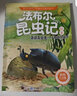 全5册小鲤鱼跳龙门二年级上册快乐读书吧注音版小学生课外书阅读书籍一只想飞的猫孤独的小螃蟹小狗的小房子 实拍图