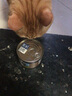 滋益巅峰（ZIWI）猫罐头185g*8主食猫罐无谷高肉高蛋白全价成幼猫通用营养猫湿粮 【尝鲜优选】猫罐185g*8 牛肉【强健机体】 实拍图