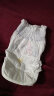 帮宝适一级帮袋鼠裤拉拉裤XL26片(12-17kg)婴儿学步裤尿不湿 夜用 实拍图
