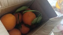 逮果重庆奉节脐橙纽荷尔春橙福本特级大果礼盒装时令新鲜孕妇水果橙子 含箱3斤大果【单果200g+】 实拍图