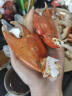 【活蟹】江食代 三门青蟹 鲜活大红母膏蟹（5-6两/只）5只 螃蟹红鲟生鲜水产送礼盒装 晒单实拍图