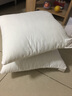 嘉诗纳旗舰款高弹饱满抱枕芯沙发靠垫芯腰靠枕芯抱枕枕芯芯子方枕可定做 加重40x60cm】 实拍图