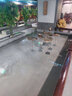 宏禄LED水底灯水池灯鱼池灯户外防水12V24V七彩水下灯喷泉景观灯泳池 暧白光 3W 实拍图