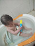 taoqibaby宝宝洗澡神器可坐躺托婴儿洗澡座椅新生儿童浴盆支架防滑浴凳 实拍图