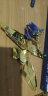 万代（BANDAI） HG 高达HGUC1 拼装模型玩具 14cm HGUC227 菲尼克斯独角兽模式电镀 实拍图
