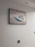 恋之屋电表箱装饰画简约现代遮挡配电箱轻奢客厅电闸总开关电盒子 金羽呈翔 B 70*50可覆盖（横60竖40）晶瓷面 实拍图